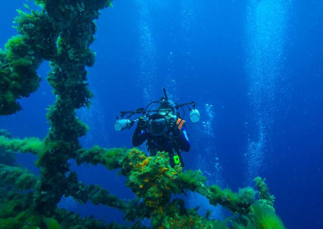 Underwater movies Underwater movies