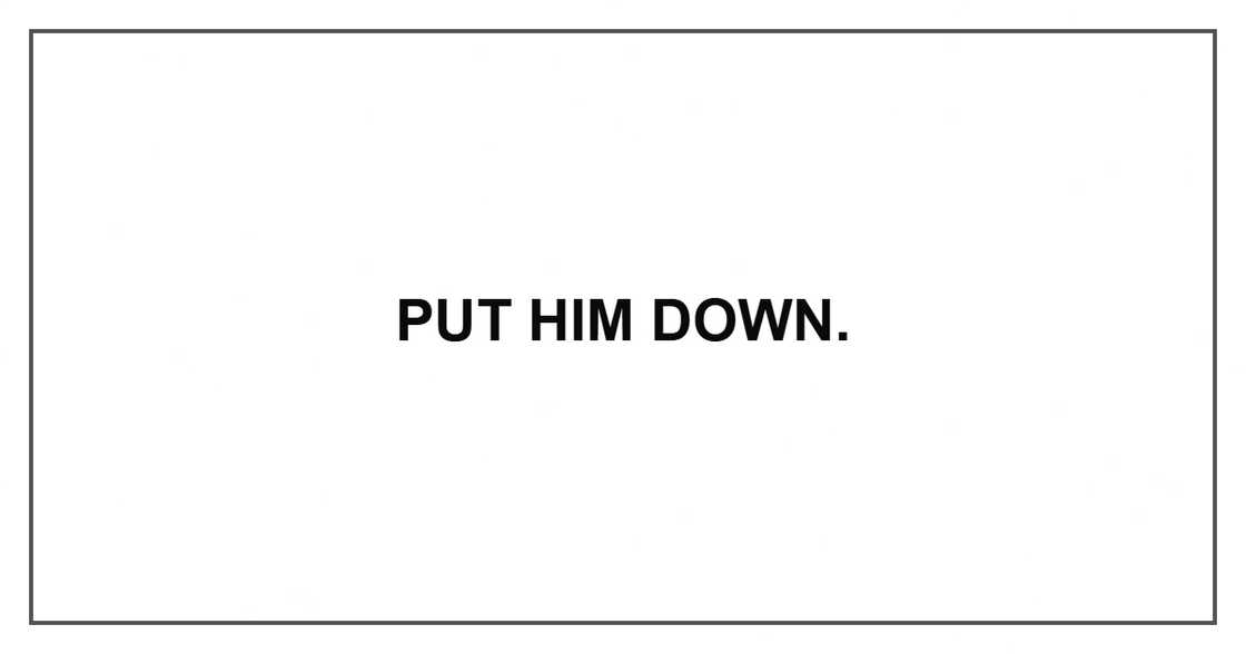 Put him down. Put him down.