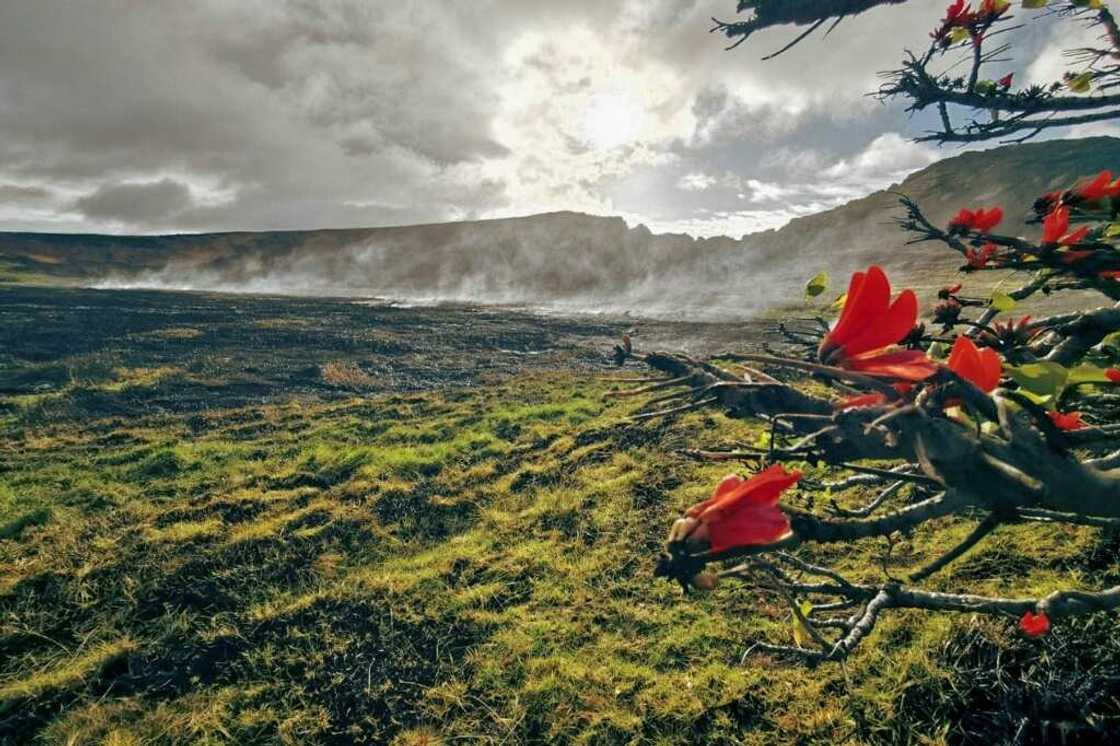 A handout picture from the Rapa Nui municipality shows a fire at the Rapa Nui National Park on Easter Island, Chile