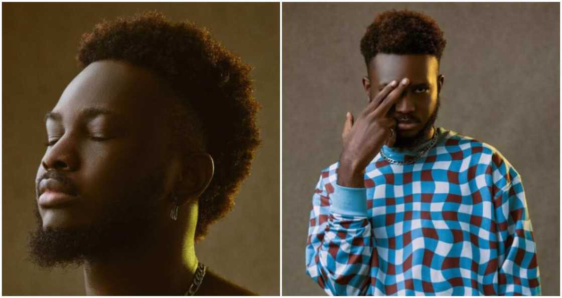 Twisstosin Twisstosin