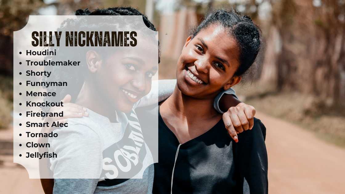 silly nicknames for friends silly nicknames for friends