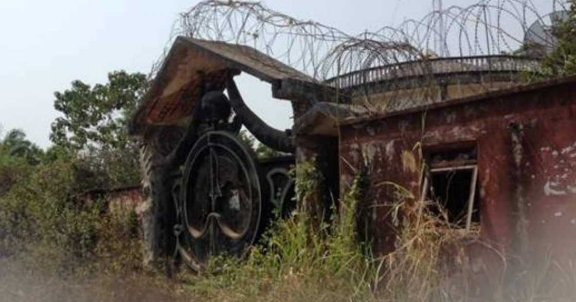 Five facts to know about Nigeria's popular King of Money (Ezego) Five facts to know about Nigeria's popular King of Money (Ezego)