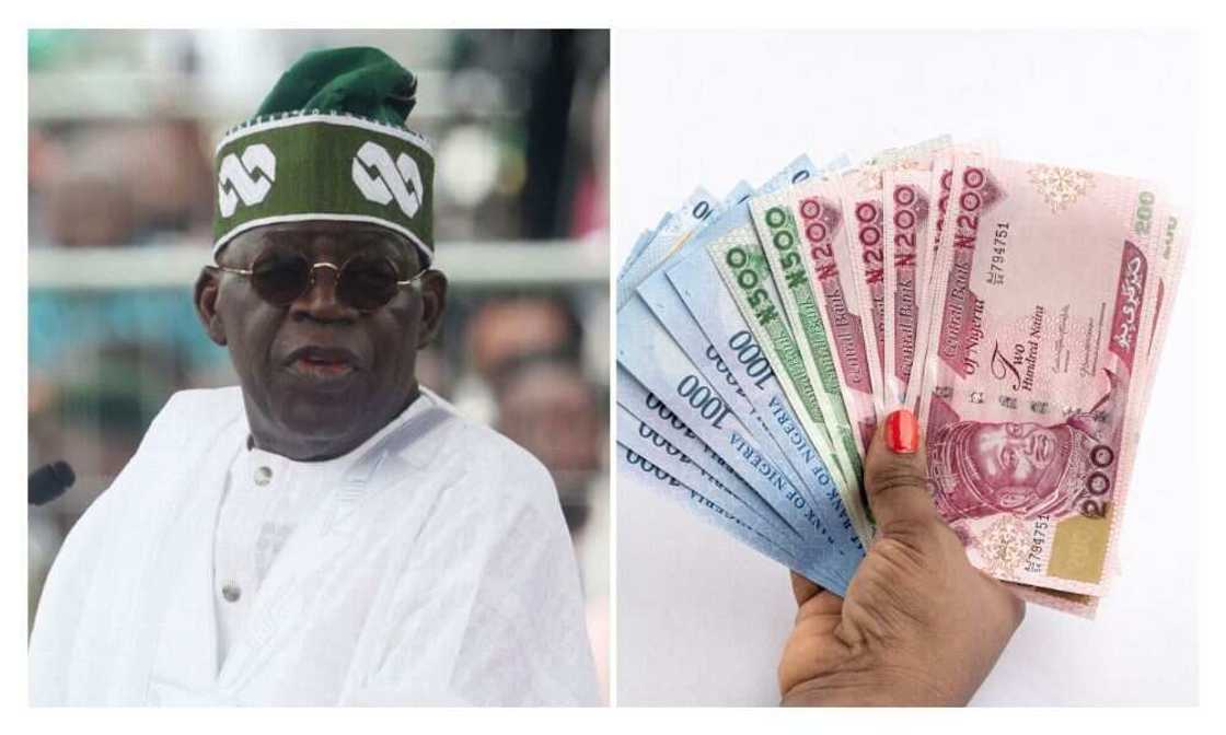 Naira, Tinubu, dollar