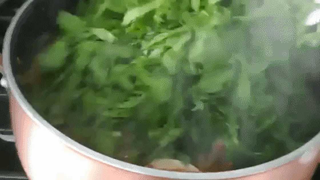keto diet keto diet