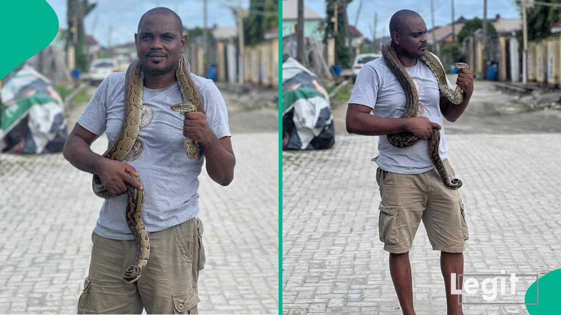 Snake expert identifies 4 signs to know if a snake is in your house or room Snake expert identifies 4 signs to know if a snake is in your house or room