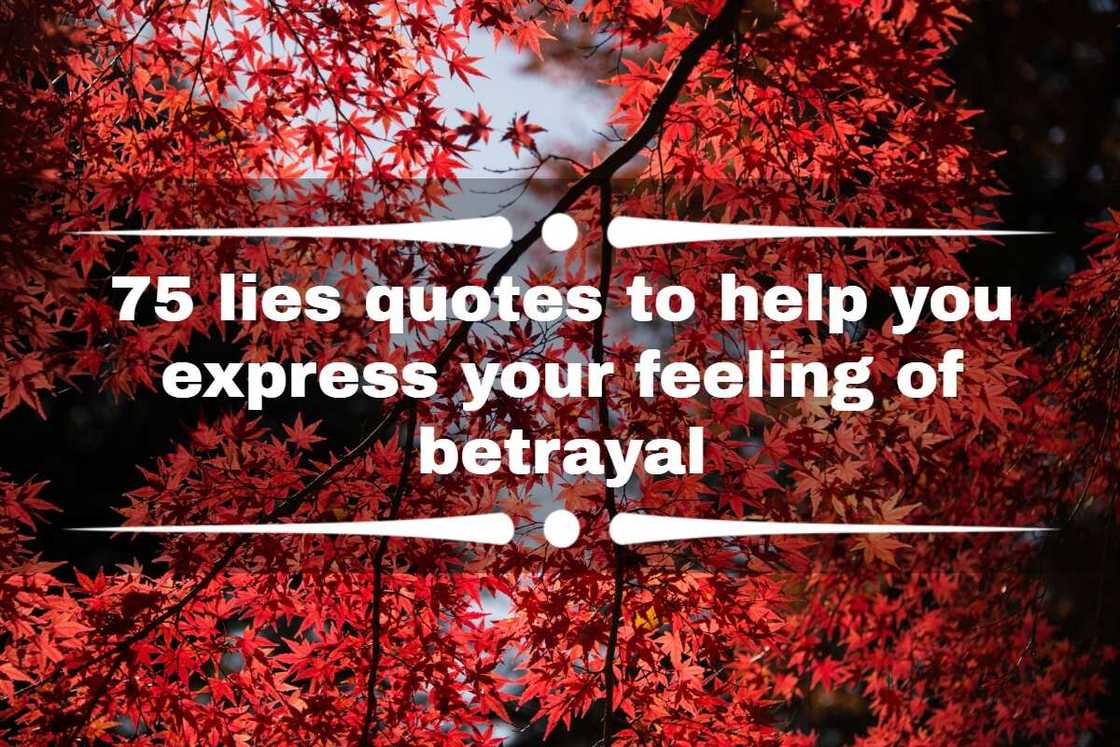 lies quotes