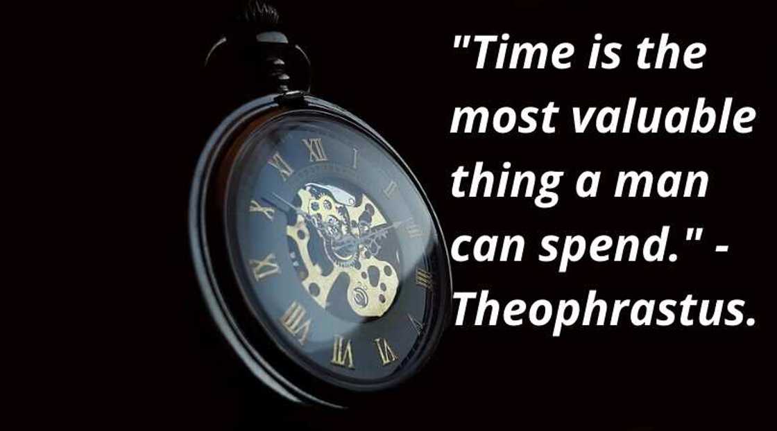 wise words quotes wise words quotes