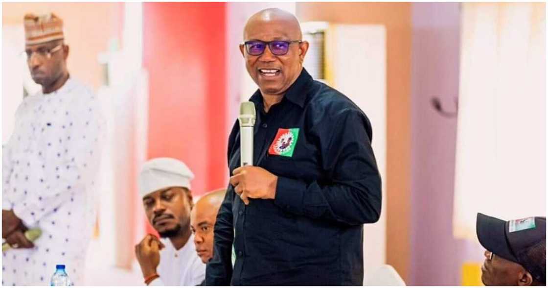 2023 elections, Valentine Obienyem, Labour Party presidential candidate, Peter Obi, the Independent National Electoral Commission