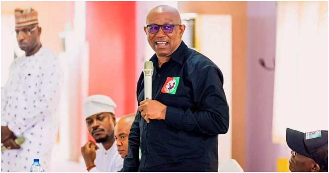 2023 elections, Valentine Obienyem, Labour Party presidential candidate, Peter Obi, the Independent National Electoral Commission 2023 elections, Valentine Obienyem, Labour Party presidential candidate, Peter Obi, the Independent National Electoral Commission