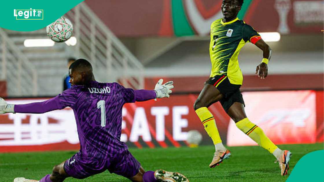 Francis Uzoho, Nigeria, Super Eagles, Stanley Nwabali
