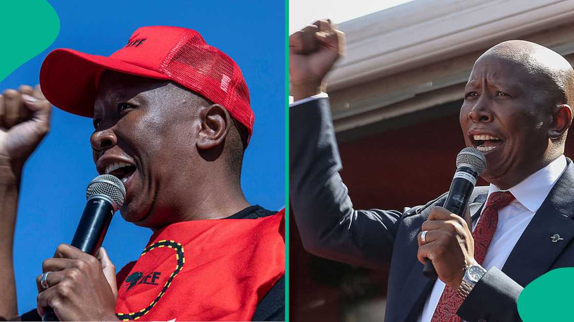 Supporters rally outside KuGompo City court as EFF leader appeals firearm ruling.