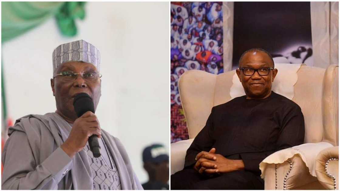 Peter Obi, Atiku, Ohanaeze Ndigbo, 2023 election, Labour Party, PDP Peter Obi, Atiku, Ohanaeze Ndigbo, 2023 election, Labour Party, PDP