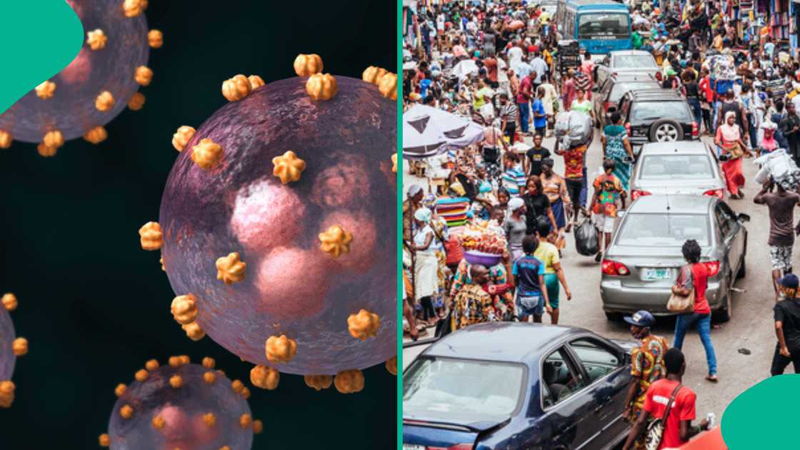 Nigeria confirms 13 new Lassa fever cases in Ondo and Edo, raising national total to 924 in 2025. Nigeria confirms 13 new Lassa fever cases in Ondo and Edo, raising national total to 924 in 2025.