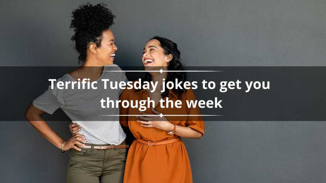 50 terrific Tuesday jokes to get you through the week