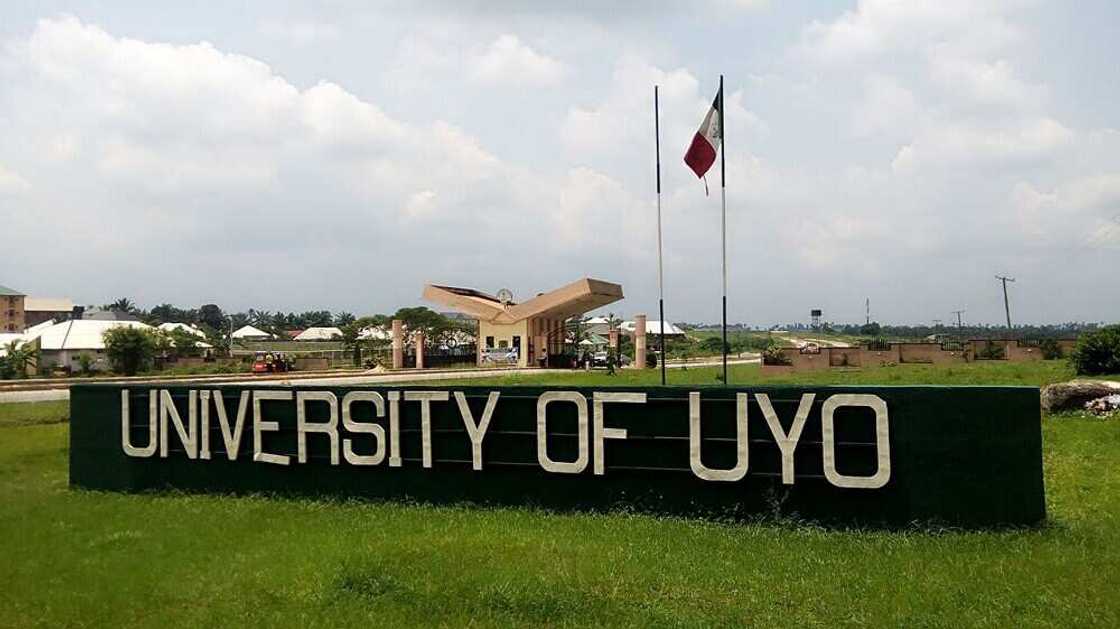 Death of Ebong has sparked renewed concerns over the plight of scholars facing institutional injustice in Nigeria Death of Ebong has sparked renewed concerns over the plight of scholars facing institutional injustice in Nigeria