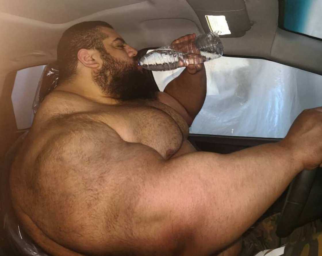 Hotuna: Sajad Gharibi kenan gabjejen katon da ya sha alwashin ganin bayan kungiyar ISIS Hotuna: Sajad Gharibi kenan gabjejen katon da ya sha alwashin ganin bayan kungiyar ISIS