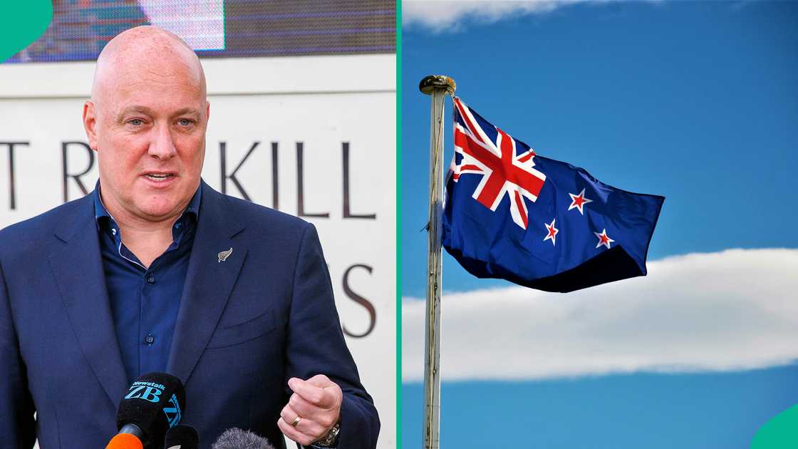 See benefits for foreigners with New Zealand Student and Trainee Work visa See benefits for foreigners with New Zealand Student and Trainee Work visa