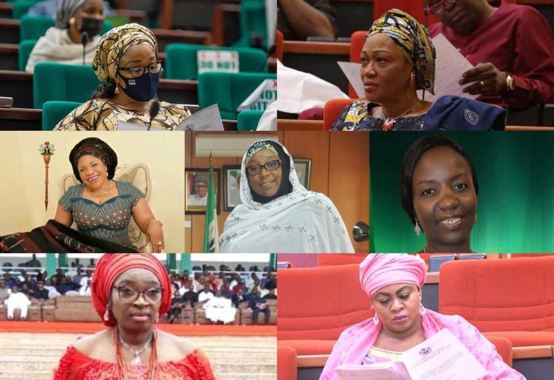List: Meet 19 female lawmakers out of 469 members of ninth National Assembly List: Meet 19 female lawmakers out of 469 members of ninth National Assembly