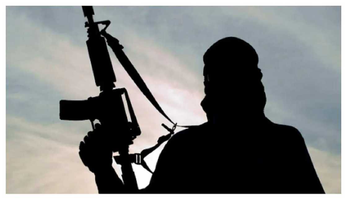 Yan Bindiga Yan Bindiga