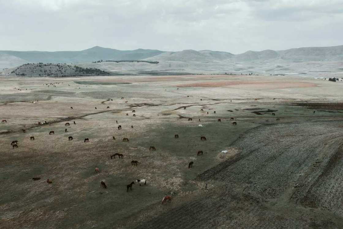 Lesotho is one of the highest countries in the world, with most of the land sitting 1,800 metres above sea level