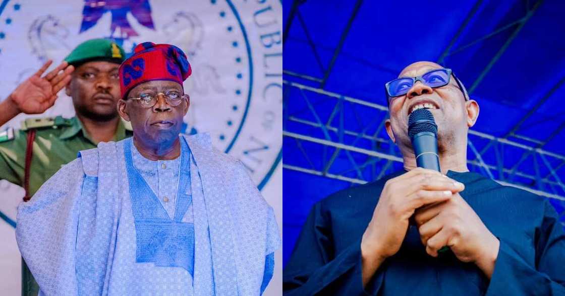 Tinubu, Obi,Tribunal, APC,LP Tinubu, Obi,Tribunal, APC,LP