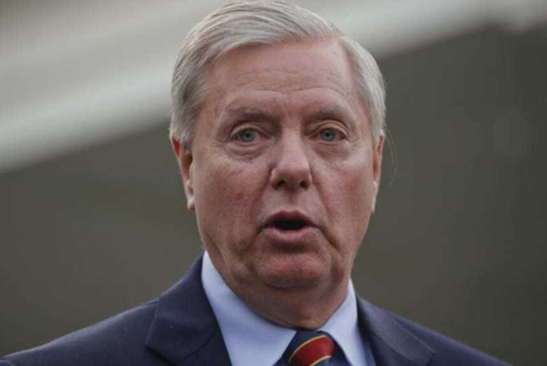 US will be forced to reinvade Afghanistan to deal terrorist, Lindsay Graham reveals US will be forced to reinvade Afghanistan to deal terrorist, Lindsay Graham reveals