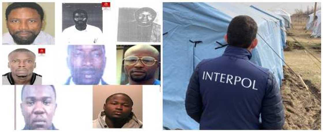 Wanted Nigerians Wanted Nigerians