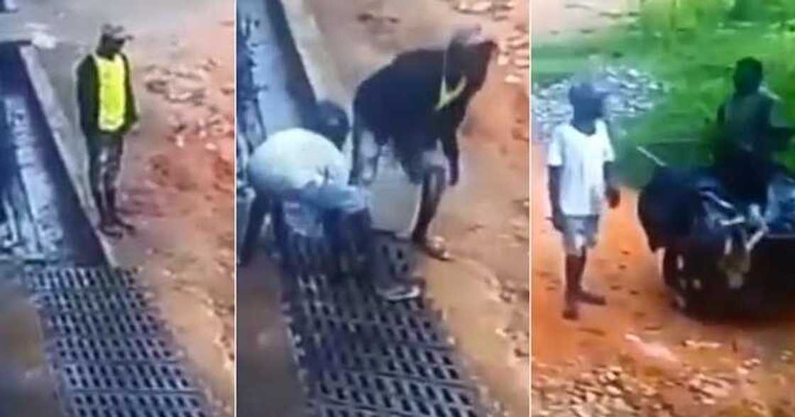 Man shares video of 'aboki' men stealing from his area