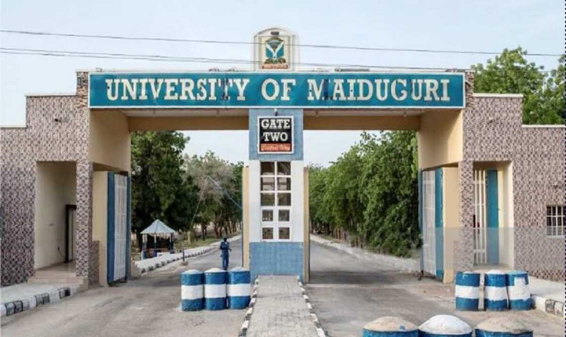 Jami'ar Maiduguri, UniMaid Jami'ar Maiduguri, UniMaid