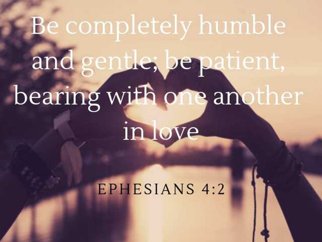 Bible verses about love and trust Bible verses about love and trust