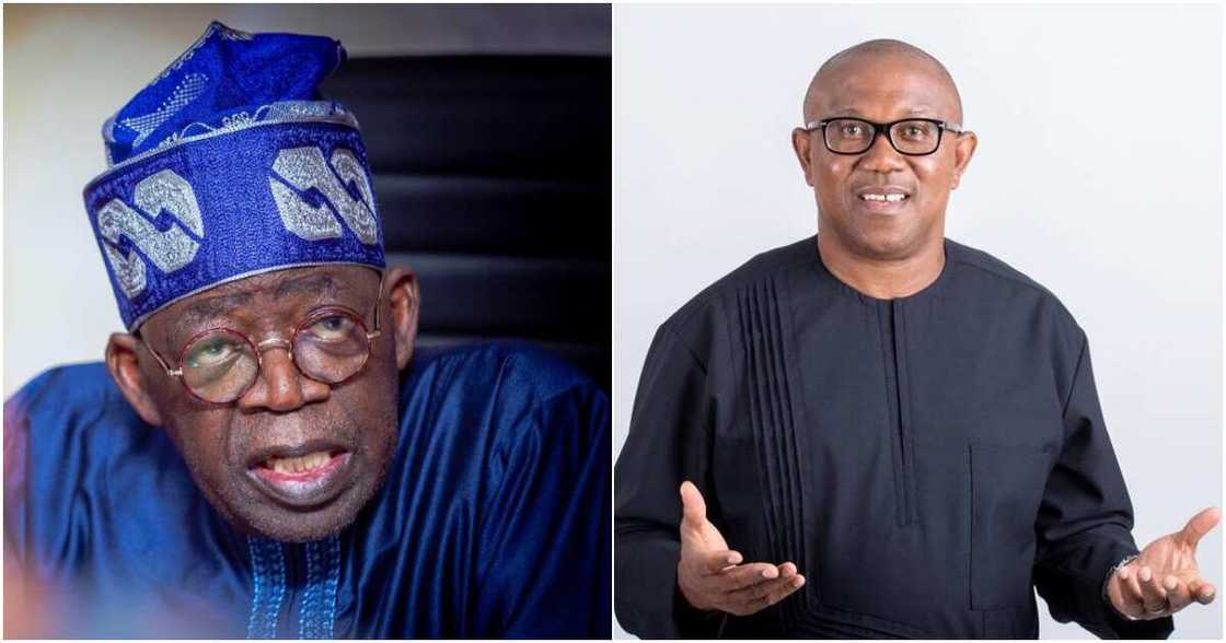 Peter Obi, Bola Tinubu, APC, PDP, Labour Party, 2023 presidential election