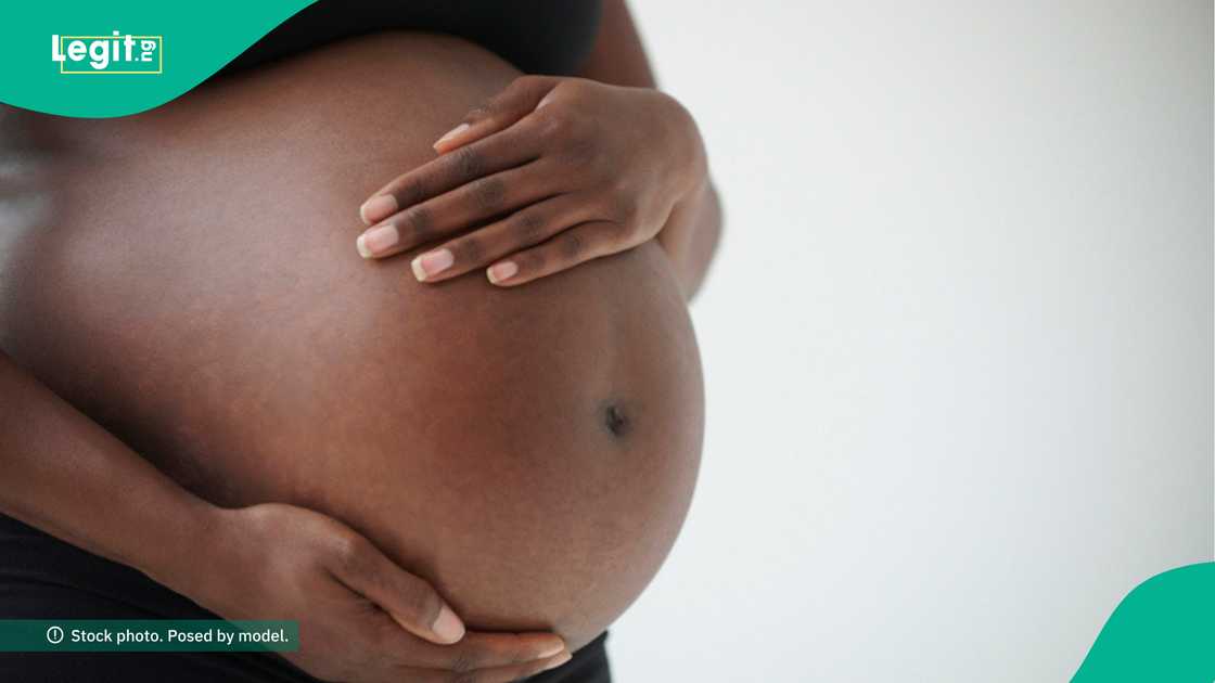 Surrogate mother runs away with twin babies. Surrogate mother runs away with twin babies.