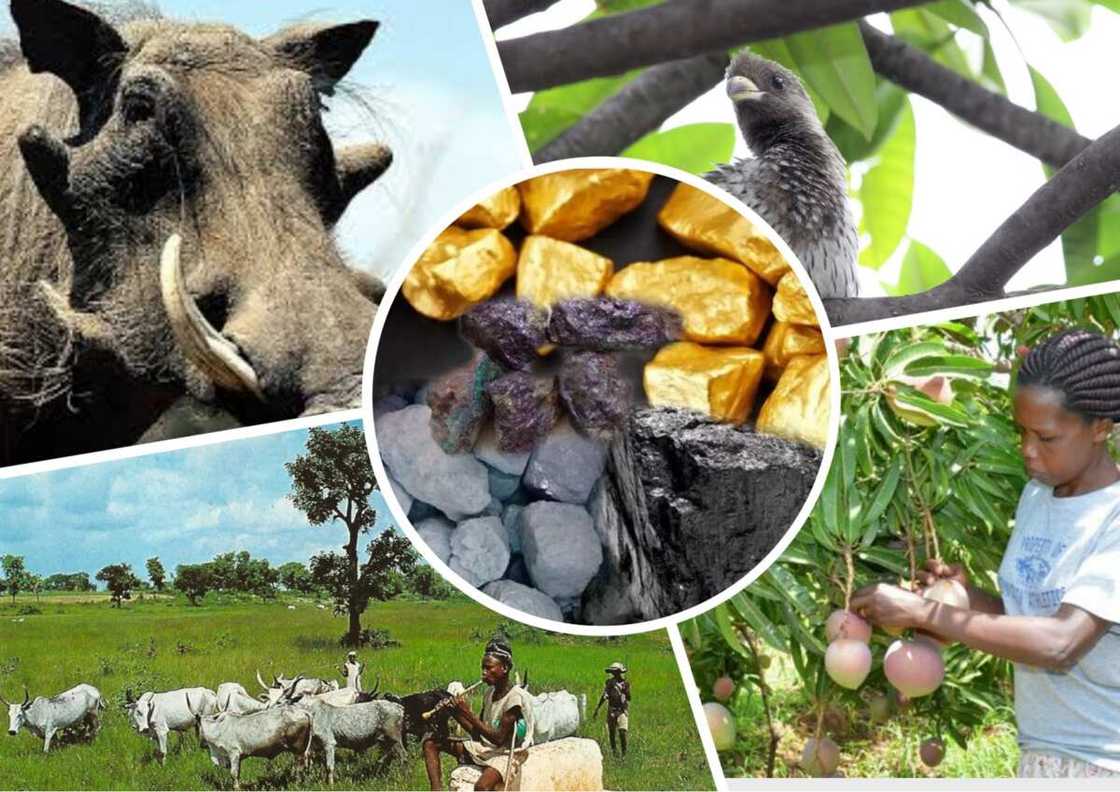 Economic Importance of Highlands in Nigeria Economic Importance of Highlands in Nigeria
