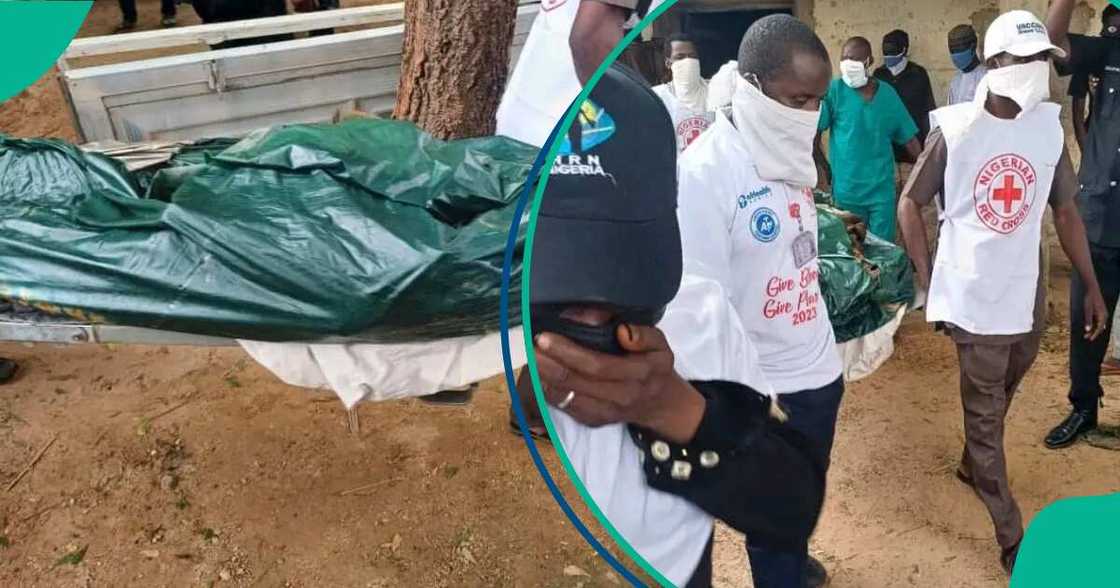 Jihar Kano Jihar Kano