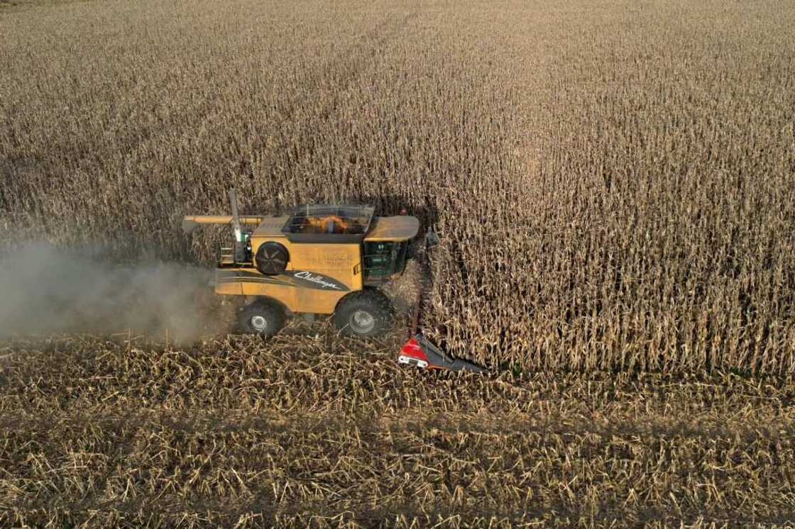 A farmer harvests his corn fields in Lobos, Buenos Aires province, Argentina