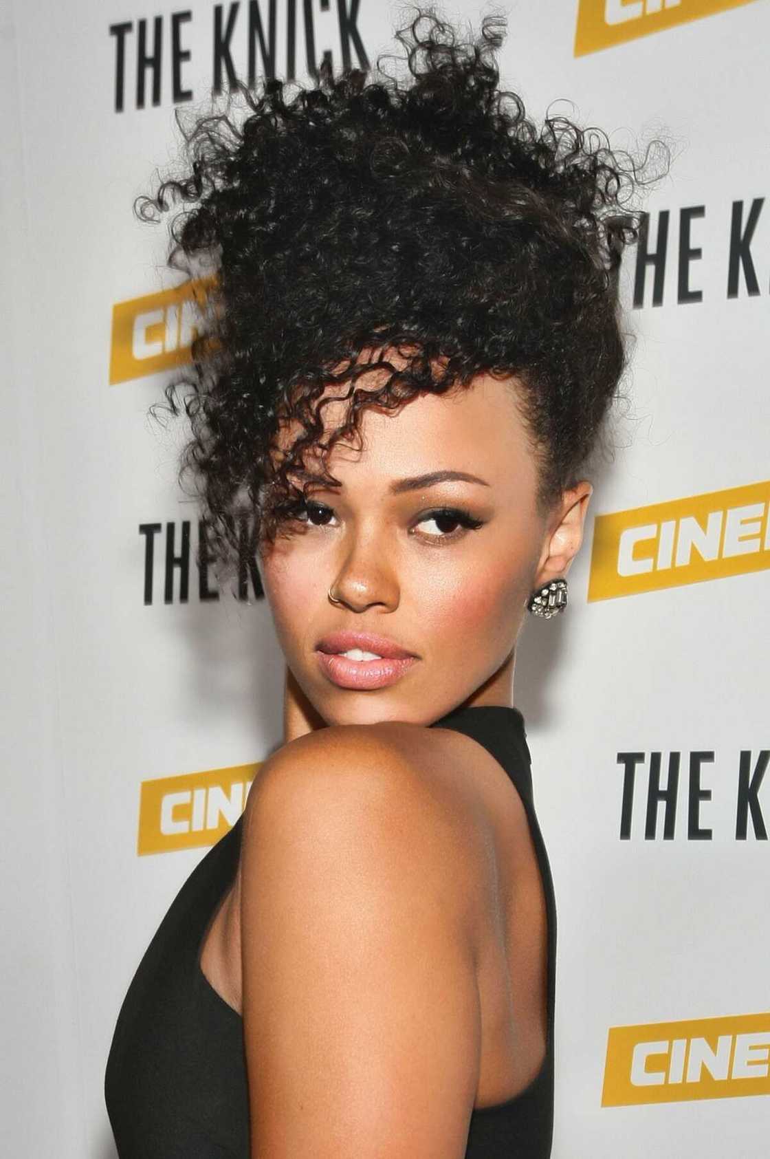 Afro hair styles for ladies