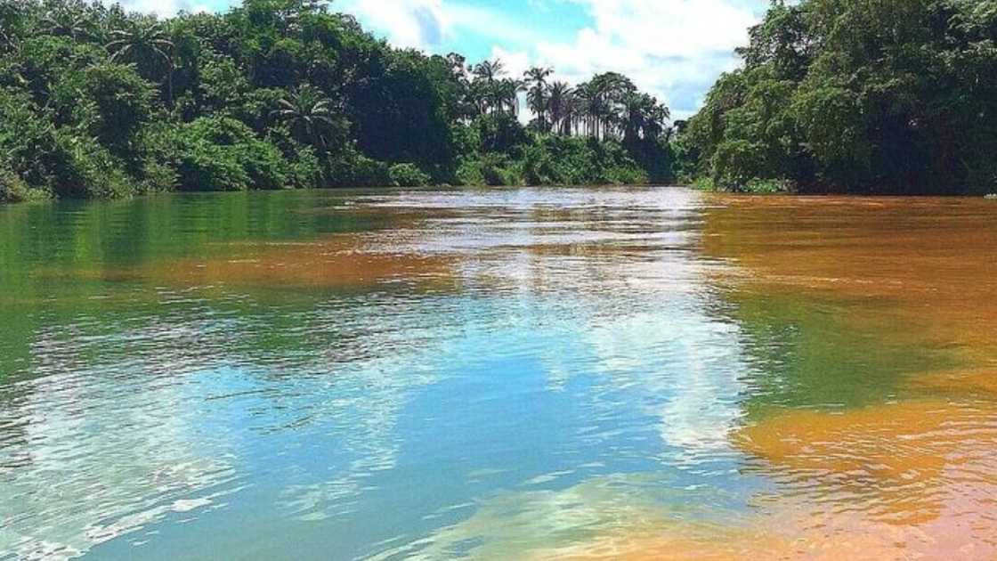Oguta Lake has two distinct colours of water