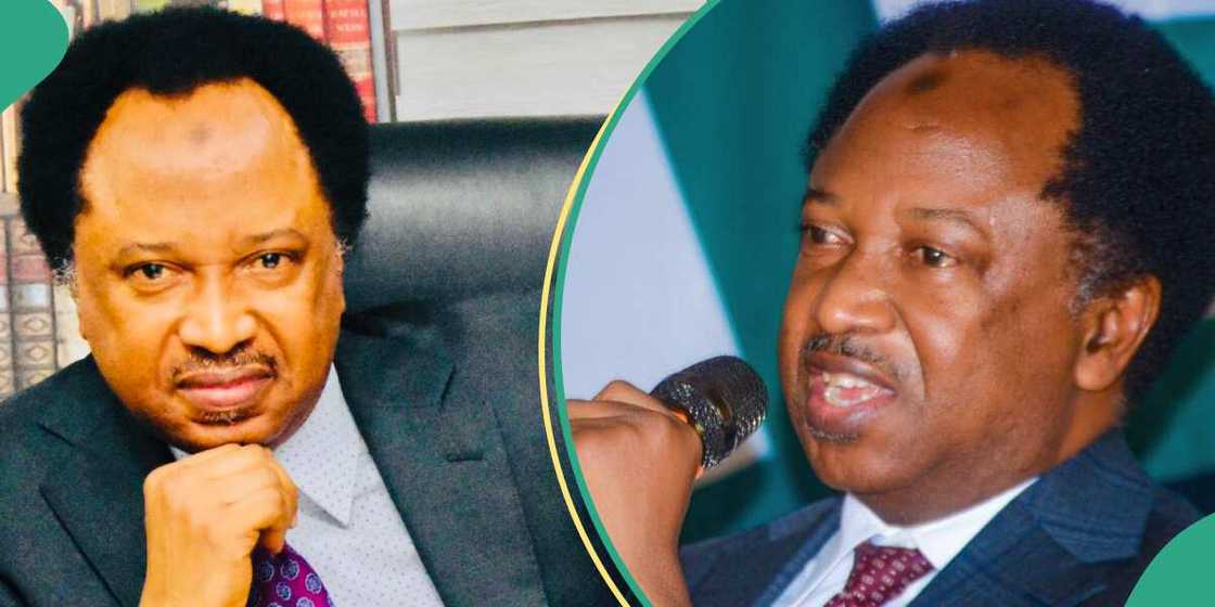 Shehu Sani reveals how Nigerian political leaders spend their 4 years in office/Shehu Sani said only second year is used for governance Shehu Sani reveals how Nigerian political leaders spend their 4 years in office/Shehu Sani said only second year is used for governance