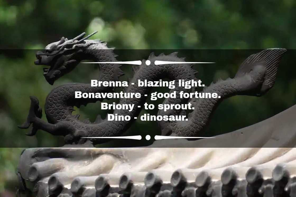 Cool dragon names Cool dragon names