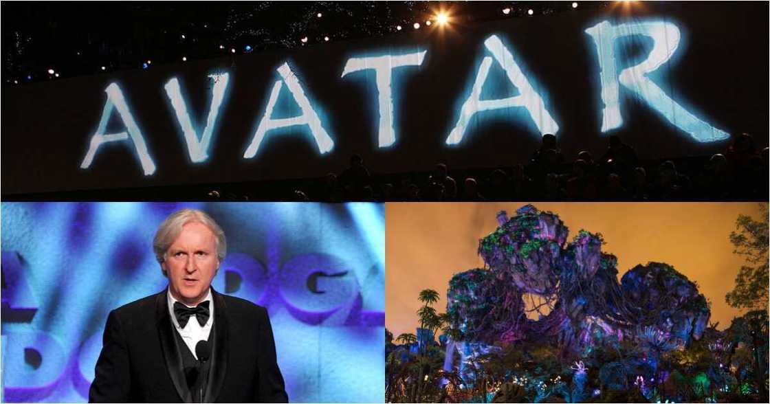 Avatar 2: Director James Cameron says the sequel's filming is finished Avatar 2: Director James Cameron says the sequel's filming is finished