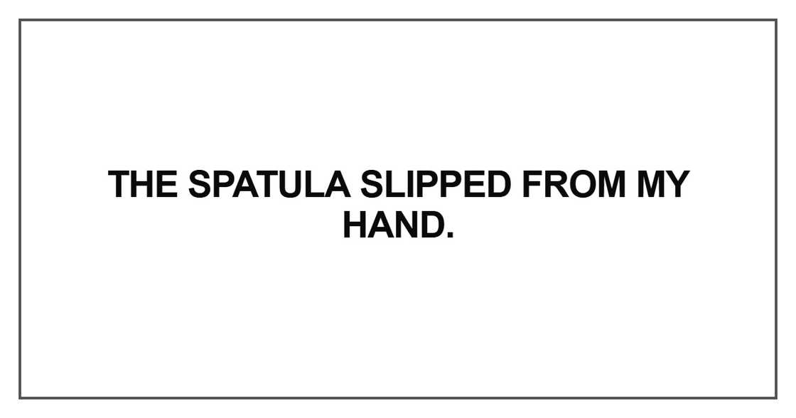 The spatula slipped from my hand The spatula slipped from my hand