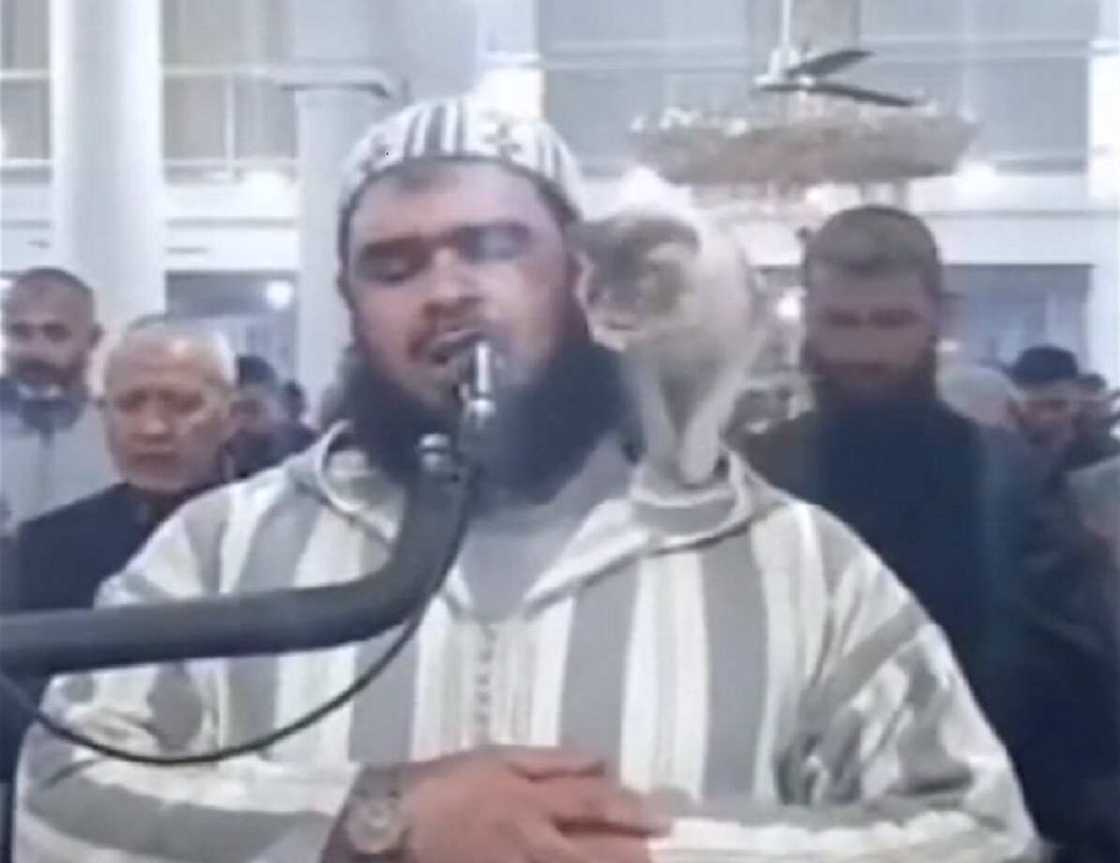 Mage ta hau kafadar limami Mage ta hau kafadar limami