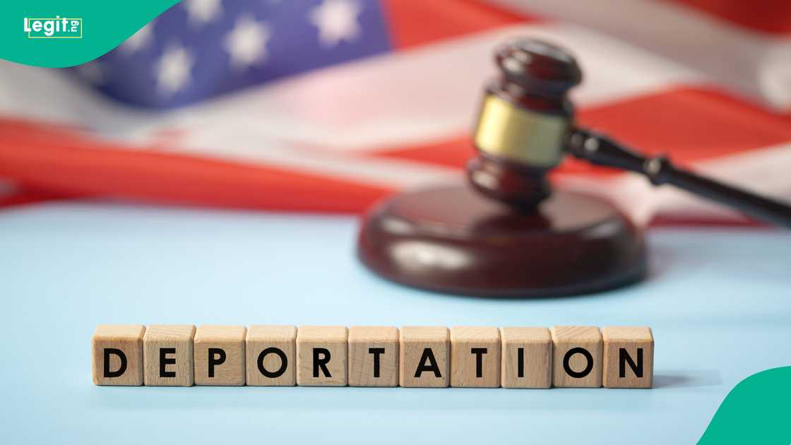 Immigration backlog grows as millions of cases overwhelm understaffed courts. Immigration backlog grows as millions of cases overwhelm understaffed courts.