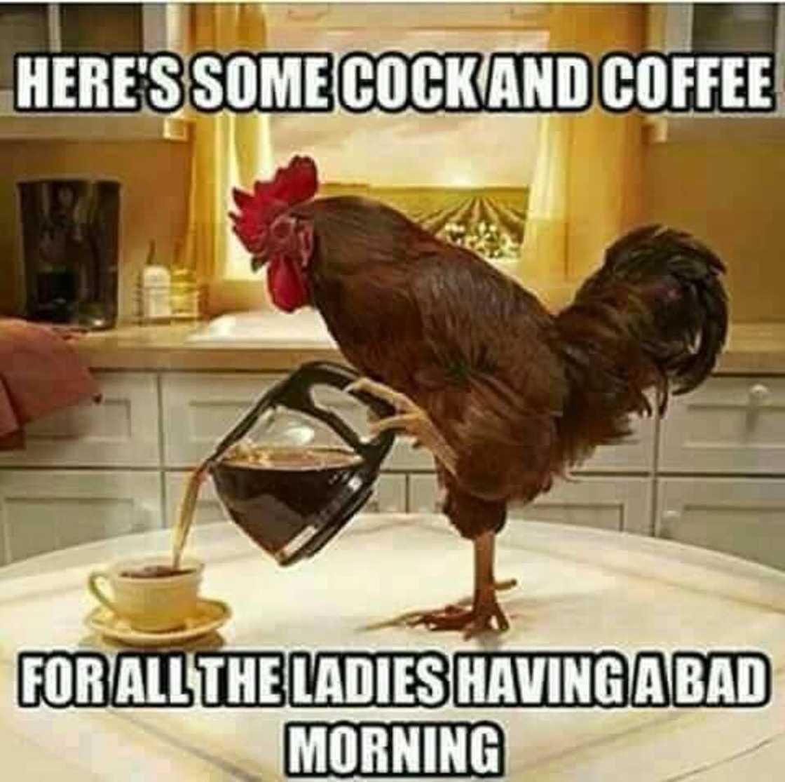 Good morning memes Good morning memes
