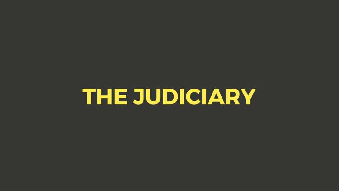 The federal judiciary The federal judiciary