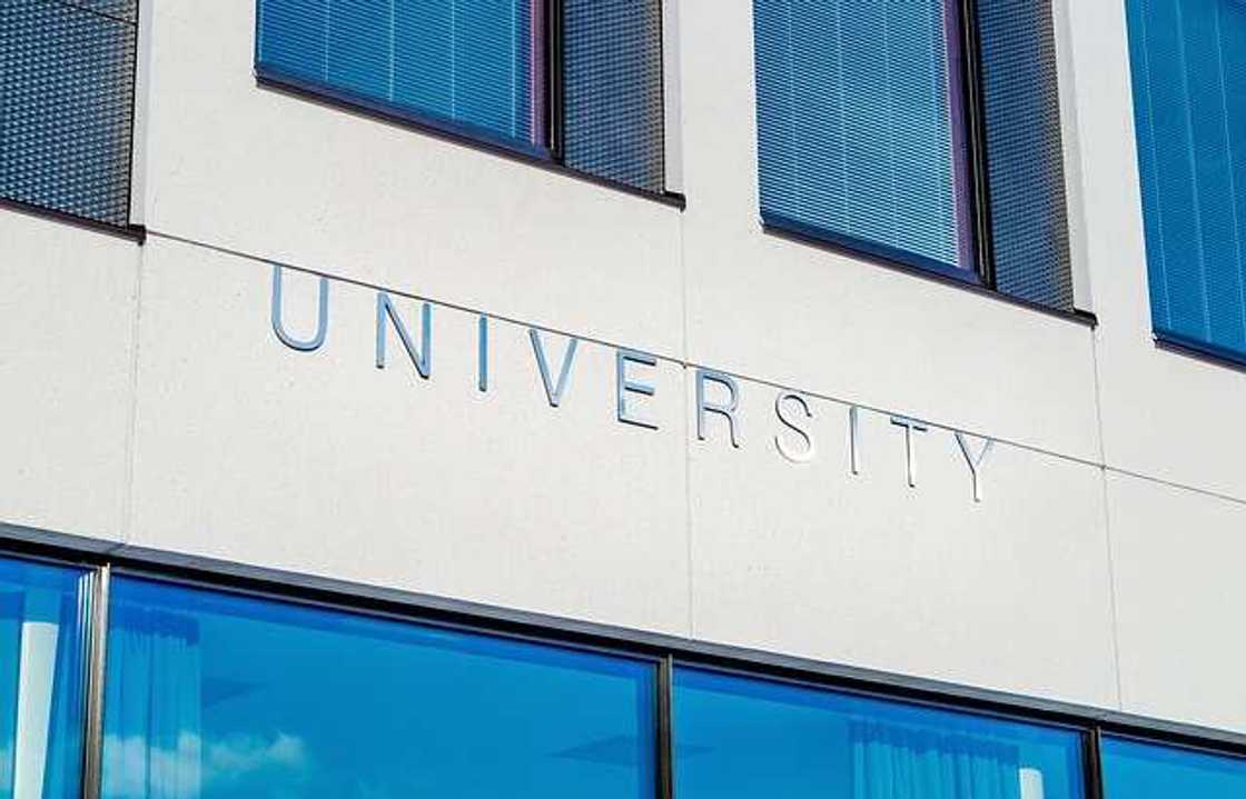 A lady who regrets studying "most useless course in Nigeria" shares experience