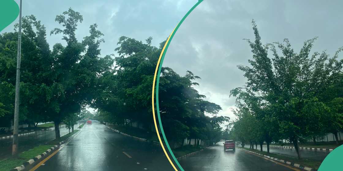 NiMet predicts early rainfall in 15 states across Nigeria