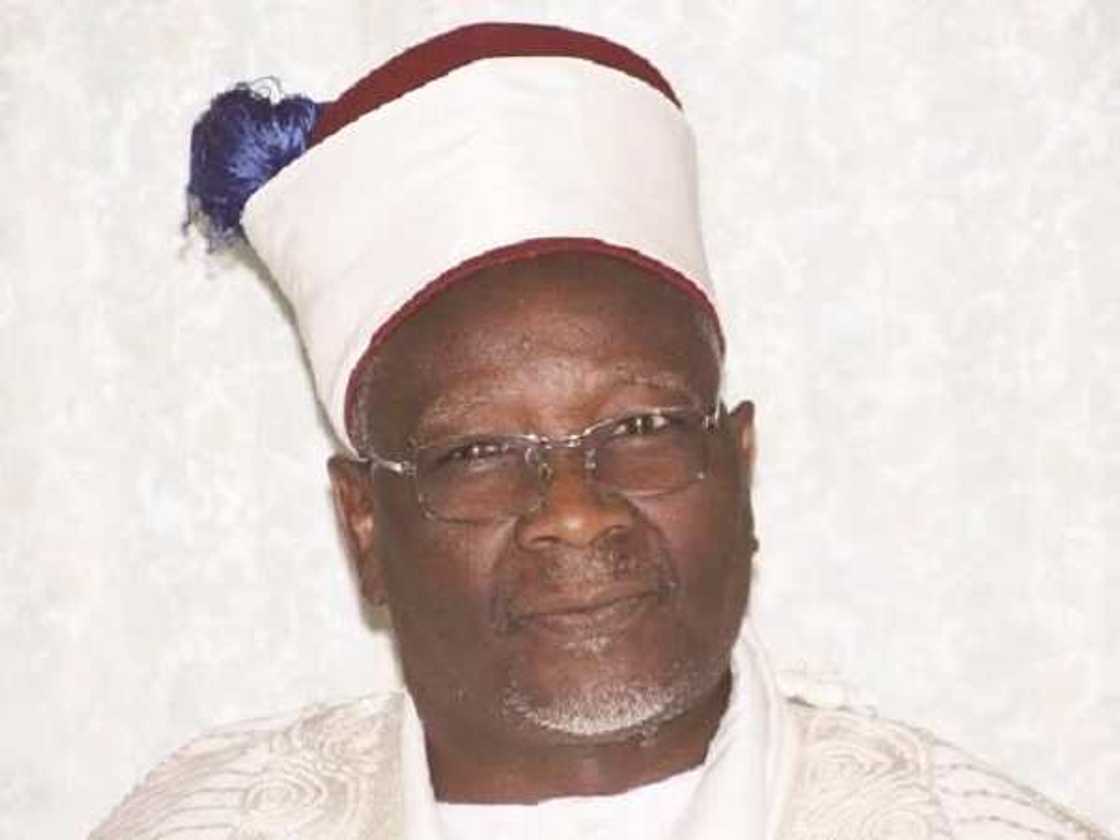 Machina: Gari a arewa da macizai ke da dangantaka mai kyau da mutane Machina: Gari a arewa da macizai ke da dangantaka mai kyau da mutane