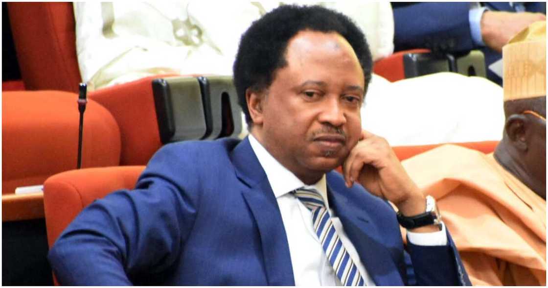 2023 election, Shehu Sani, APC, PDP, NNPP, Labour Party, Nigerian youths