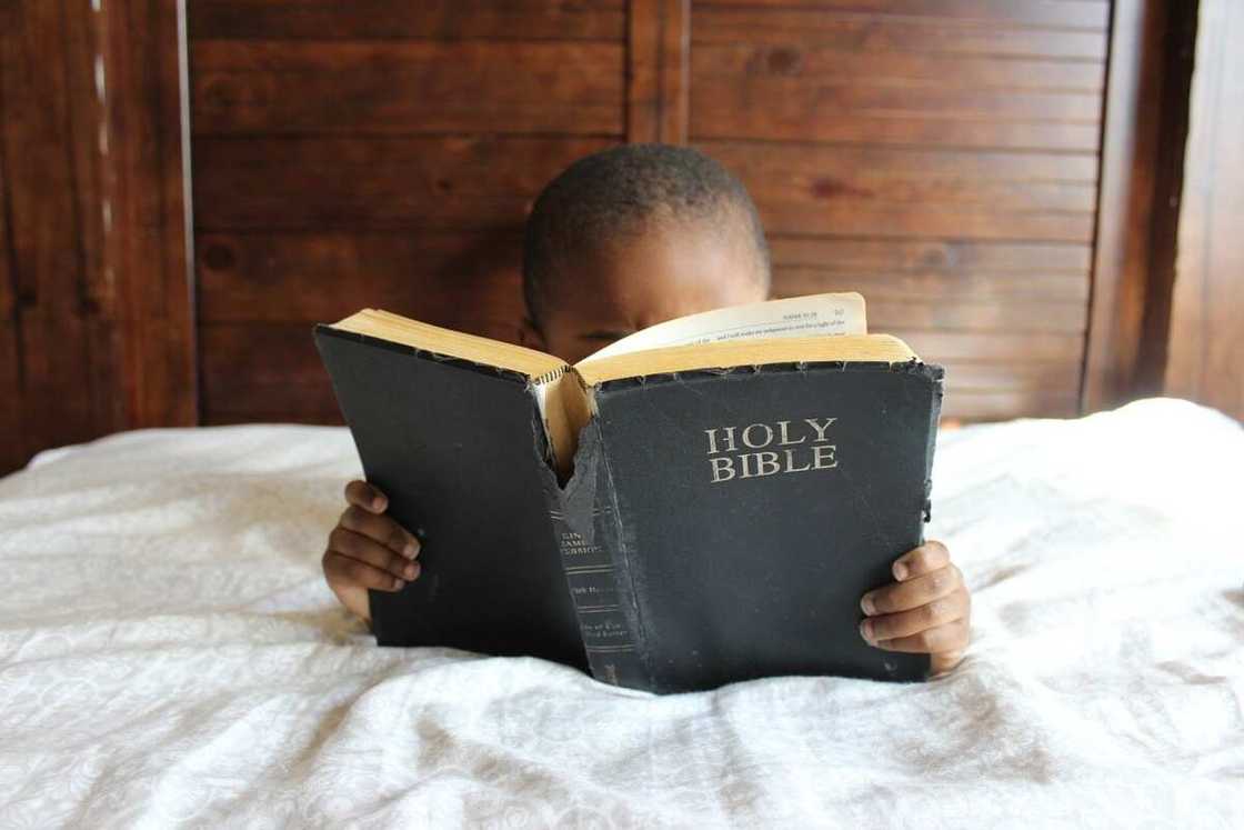 Bible verses about children